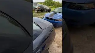 2001 Mustang GT Bullitt #automobile
