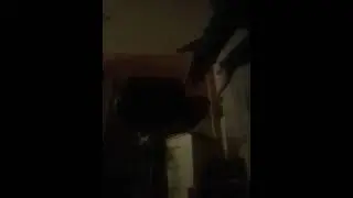 молодой пацан купил банан #венгалби #бананчик #черный