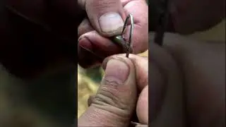 Лучшая насадка на налима! 