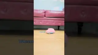 Kirby car