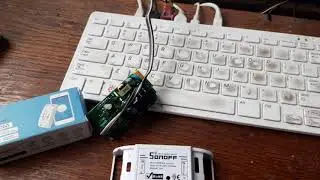 ESP8266 ESP8285 relais switch mdns bonjour local services listed on webpage wifimanager with mdns