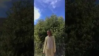 Бож ветер 
