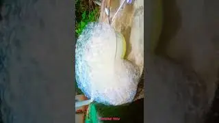 😱bubbles making in vessel |simple science expirement|Easy science expirement #shorts#viral#m4tech