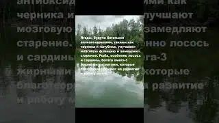 Здоровое питание для улучшения работы мозга.