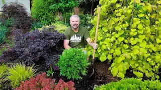 10 Amazing New Plants for the Garden