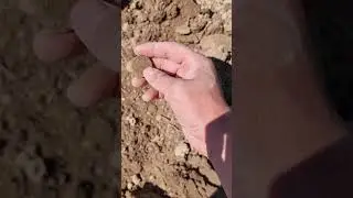 Копаю какалы 🤌