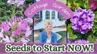 Start these 10 Seeds NOW for Your Cottage Garden!💐 | Zone 5