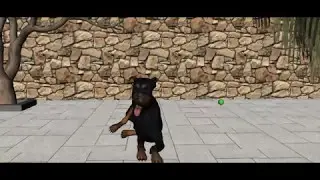 Quick Doberman Animation