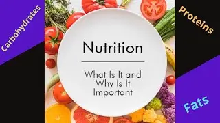 What is Nutrition? || Carbohydrates, Proteins and Fats