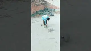 har ek friend कमिना hota hai 😂😂