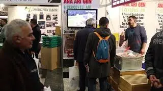 Ana Arı Gen - İstanbul Arıcılık Fuarında