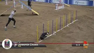 Jennifer Crank and P!nk Win The 2021 AKC National Agility Championships 16
