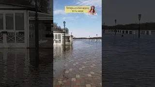 Море в Беларуси. Разлив р.Сож, набережная г.Гомеля