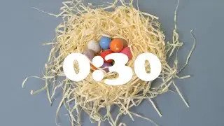 30 Second Countdown Timer | EASTER EGG NEST, SPRING | Alarm Bell Tone