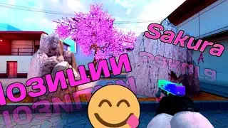 #4 ПОЗИЦИИ НА SAKURA