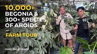 10,000+ of Begonia and 300+ Species of Aroid | Meet the Growers Farm Tour
