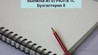 Выписка из ЕГРЮЛ в 1С Бухгалтерия 8