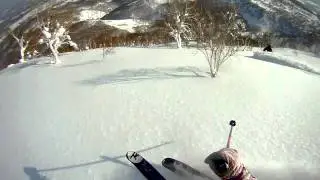 Niseko Express