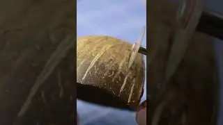 11 сентября 2023 г.