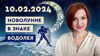 Новолуние 10 февраля 2024 в Водолее с включенным Высшим зодиаком СФИНКС
