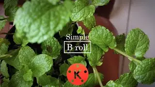 Simple B ROLL using smartphone vivo z1 and kinemaster- capturebyrob