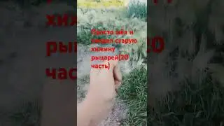 (20 часть) #гномы #тренд #существа #рыцари #тренды