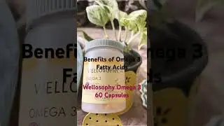 Benefits of Omega 3 Fatty Acids
