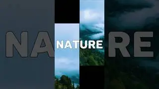 Nature ambiance | ambient nature sounds #shorts #ytshorts #nature
