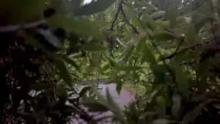 My first dronecrash (DJI Mavic Pro)