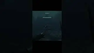 Каджит не вор, каджит рыба! 