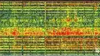 ч.2/  20.08.24/  КОНЕЦ СВЕТА. ТРЕШ КОНТЕНТ