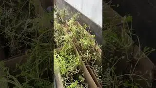 3 мая 2024 г.