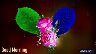 Good Morning Video