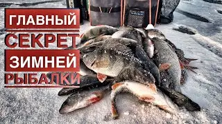 Главный секрет зимней рыбалки!