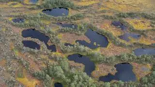 Häckelsängs högmosse och Gnagmur Naturreservat