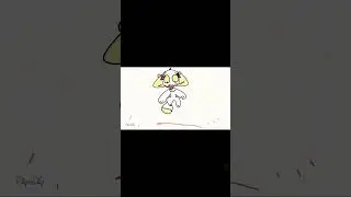 cat meme kap