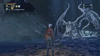 Ибраитас без урона. Перс без прокачки. Bloodborne 2022.