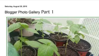 Blogger Photo Gallery - Part 1