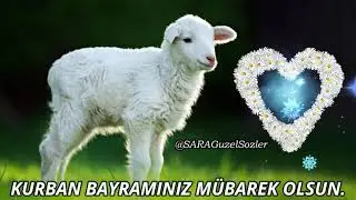 KURBAN BAYRAMI KUTLAMA VİDEOLARI
