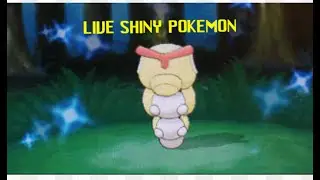 43 - LIVE SHINY CATERPIE, MY BEST REACTION
