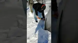 #зима