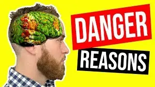 3 Reasons Vegan Diets are Dangerous