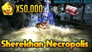 Sherekhan Necropolis IS IT WORTH IT?! | Marni's Research Box (Black Desert Online)