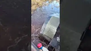 Дутик в своей стихии 🔥🔥🔥