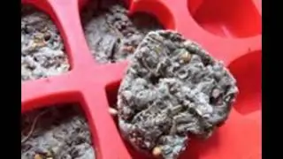Fun Crafts That Are Easy