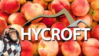 Hycroft Mining Stock Holding Strong Above the GOLDEN Pocket 💪