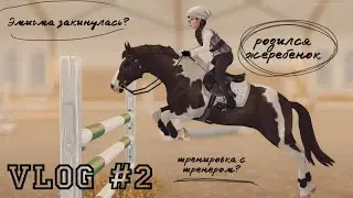 РОДИЛСЯ ЖЕРЕБЕНОК | ТРЕНИРОВКА С ТРЕНЕРОМ? | ЭНИГМА ЗАКИНУЛАСЬ? | RRP КОНОВЛОГ #2