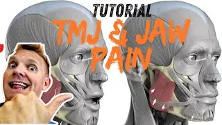 How To Relieve TMJ Pain At Home
