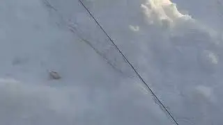 Ловля птиц 16.1.2022 год.