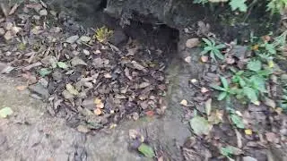 dried up riverbeds